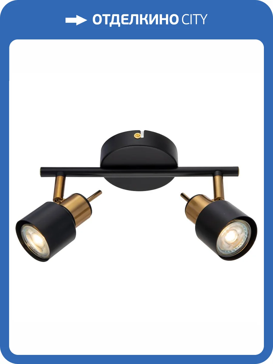 Спот Arte Lamp Almach A1906PL-2BK фото 2