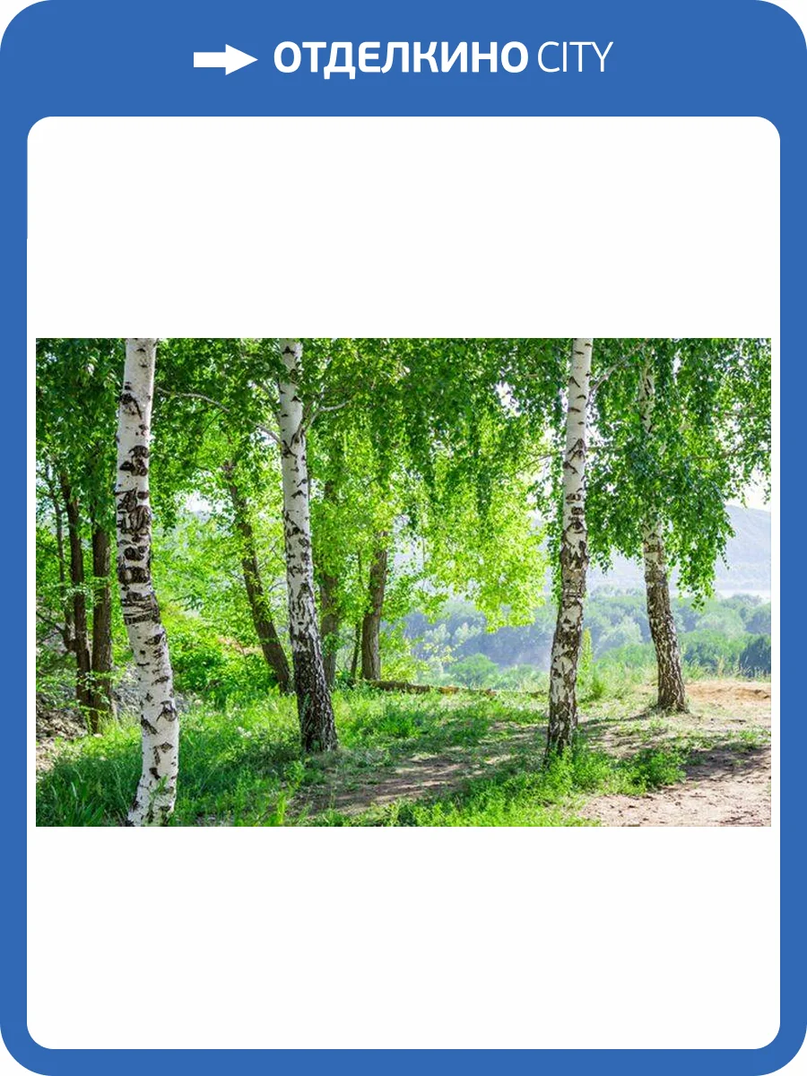 3D Фотообои Artegrafico «Березы» L001-4-1 канвас фото 2