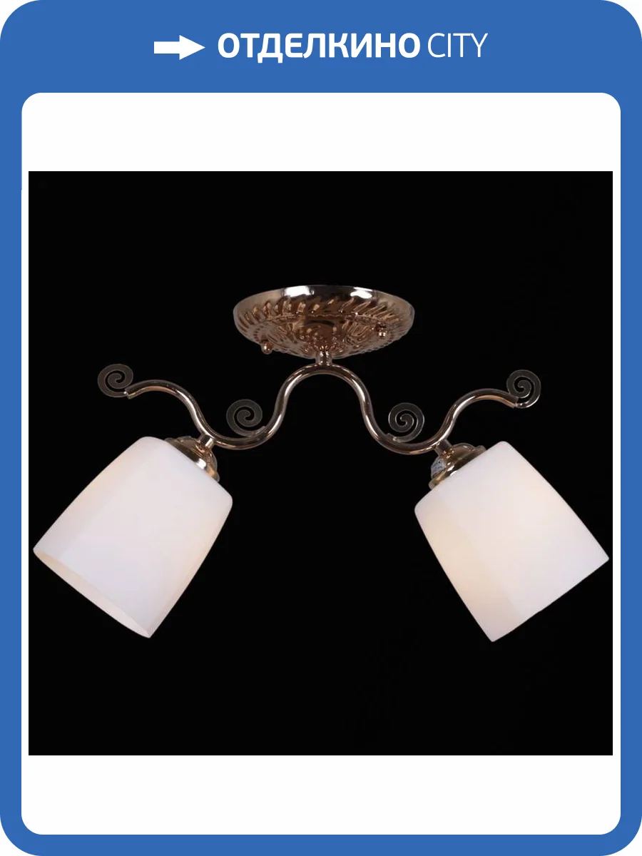 Потолочный светильник Reluce 31409-0.3-02 фото 4