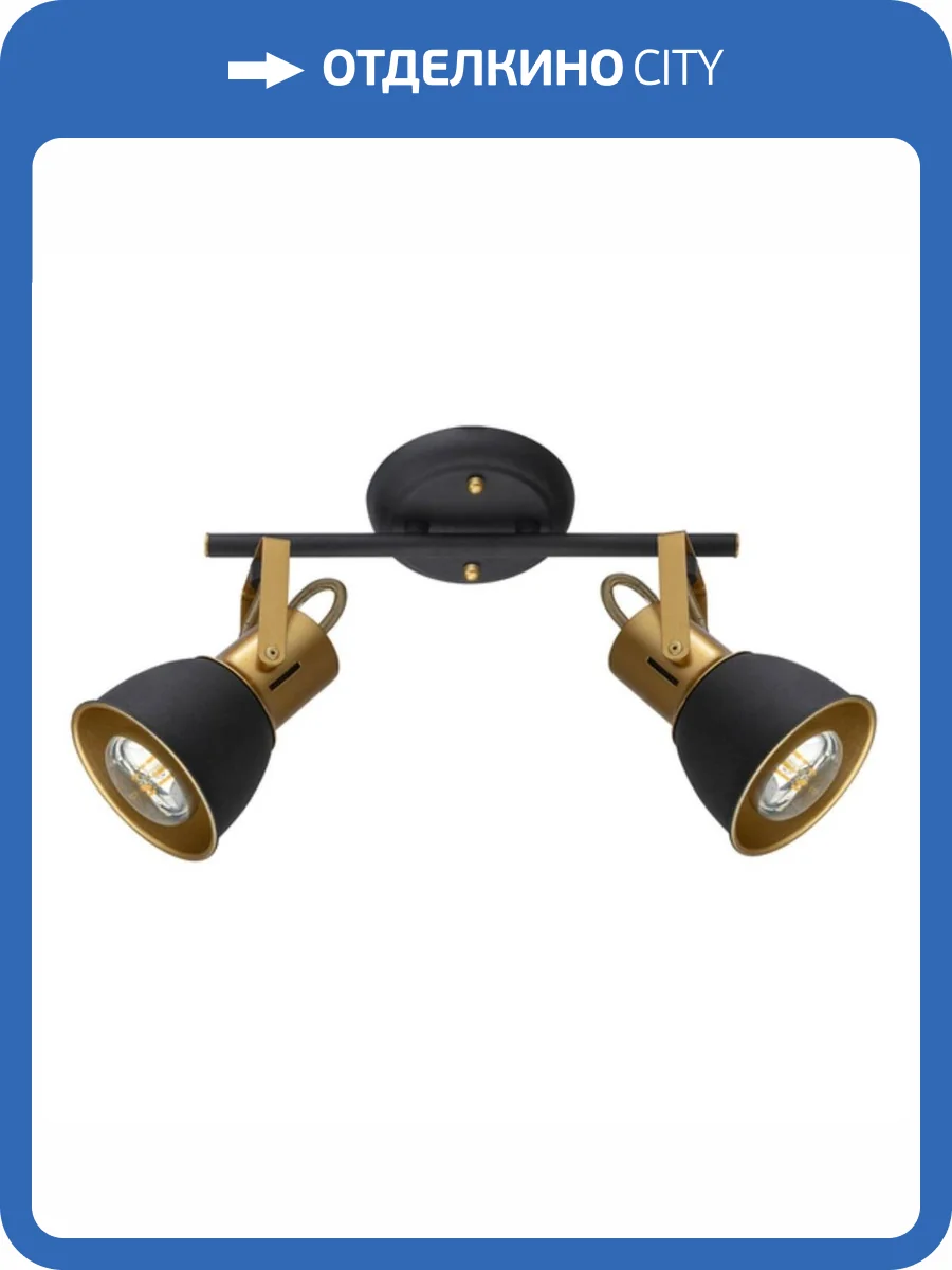 Спот Arte Lamp Jovi A1677PL-2GO фото 2