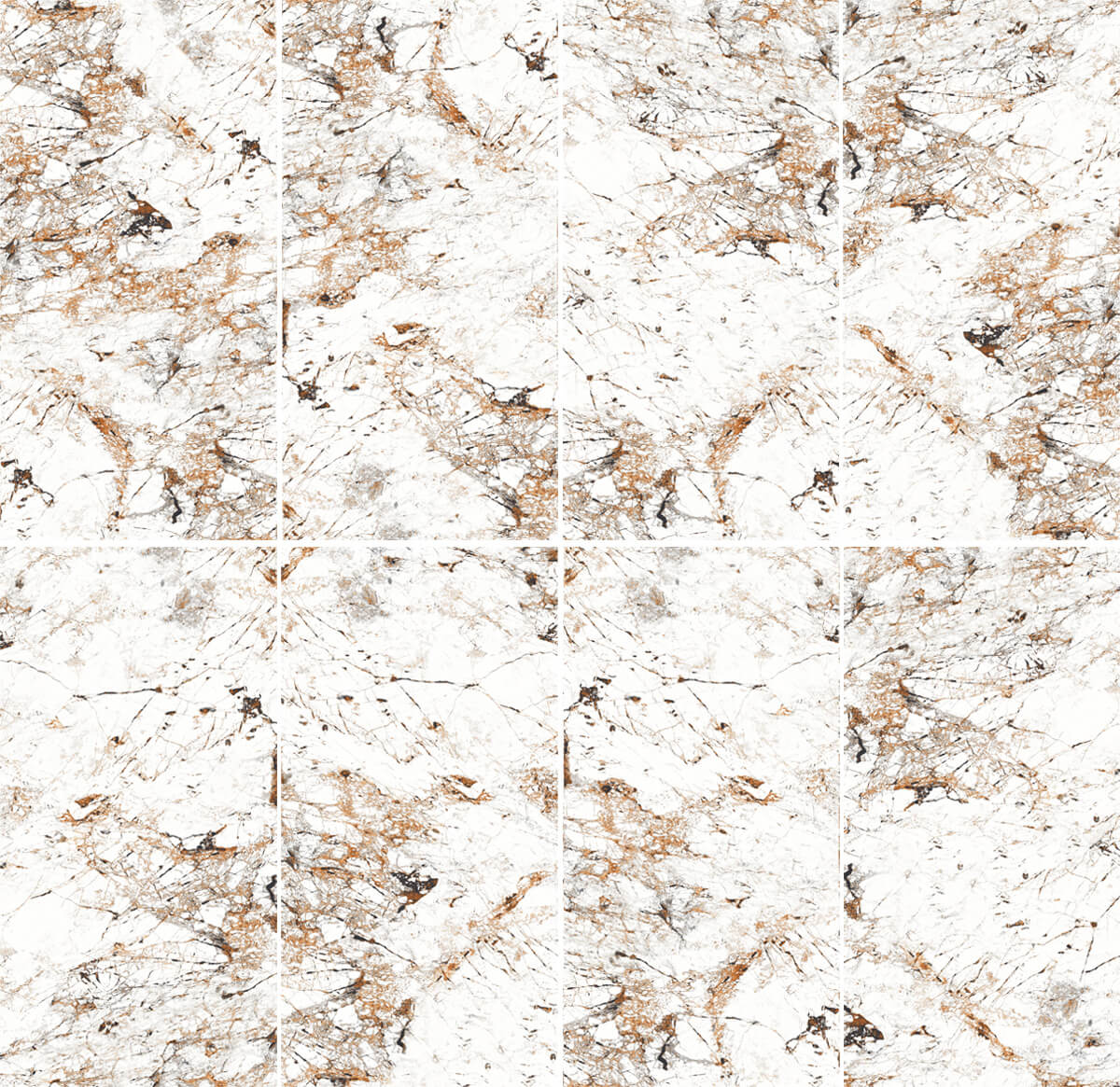 Bluezone Burberry фото 4