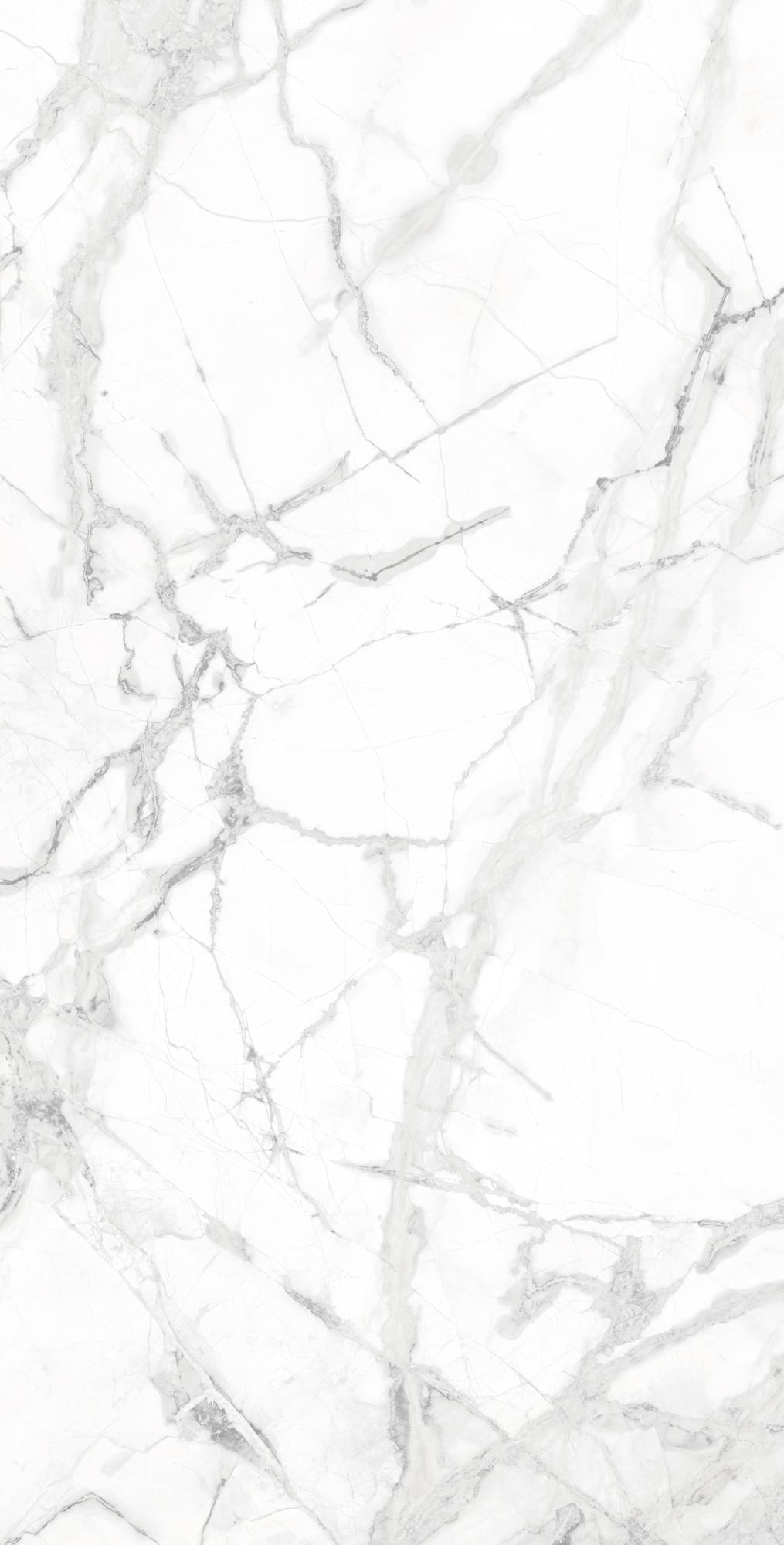 Керамогранит Arcadia Ceramica Diverso CR4023-A White Carving 60x120 фото 2