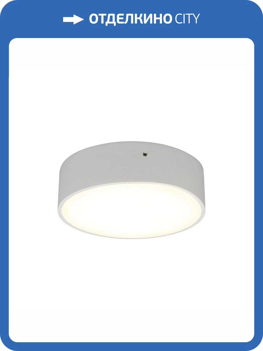 Потолочный светодиодный светильник Aployt Evon APL.0113.09.12 фото 2