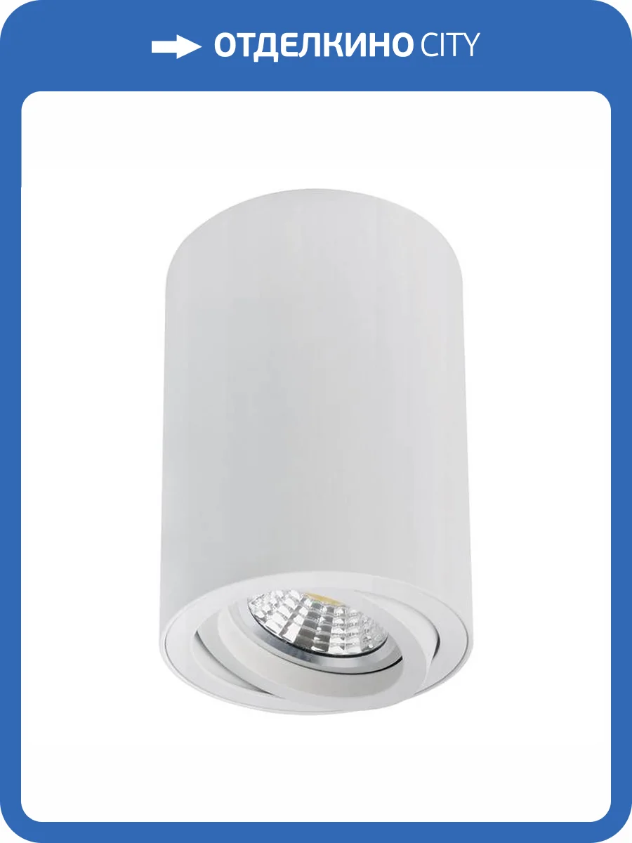 Светильник потолочный Arte Lamp Sentry A1566PL-1WH фото 2