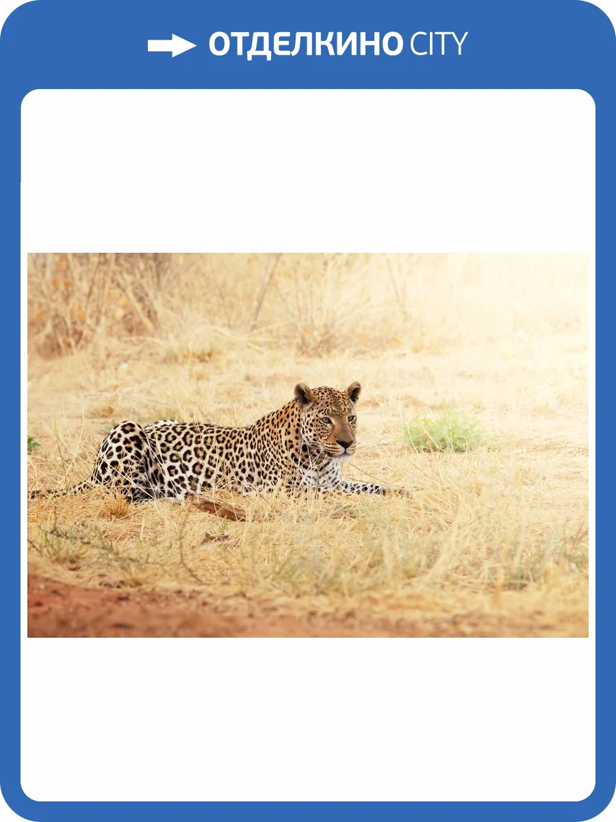 3D Фотообои Artegrafico «Леопард» A001 песок фото 2