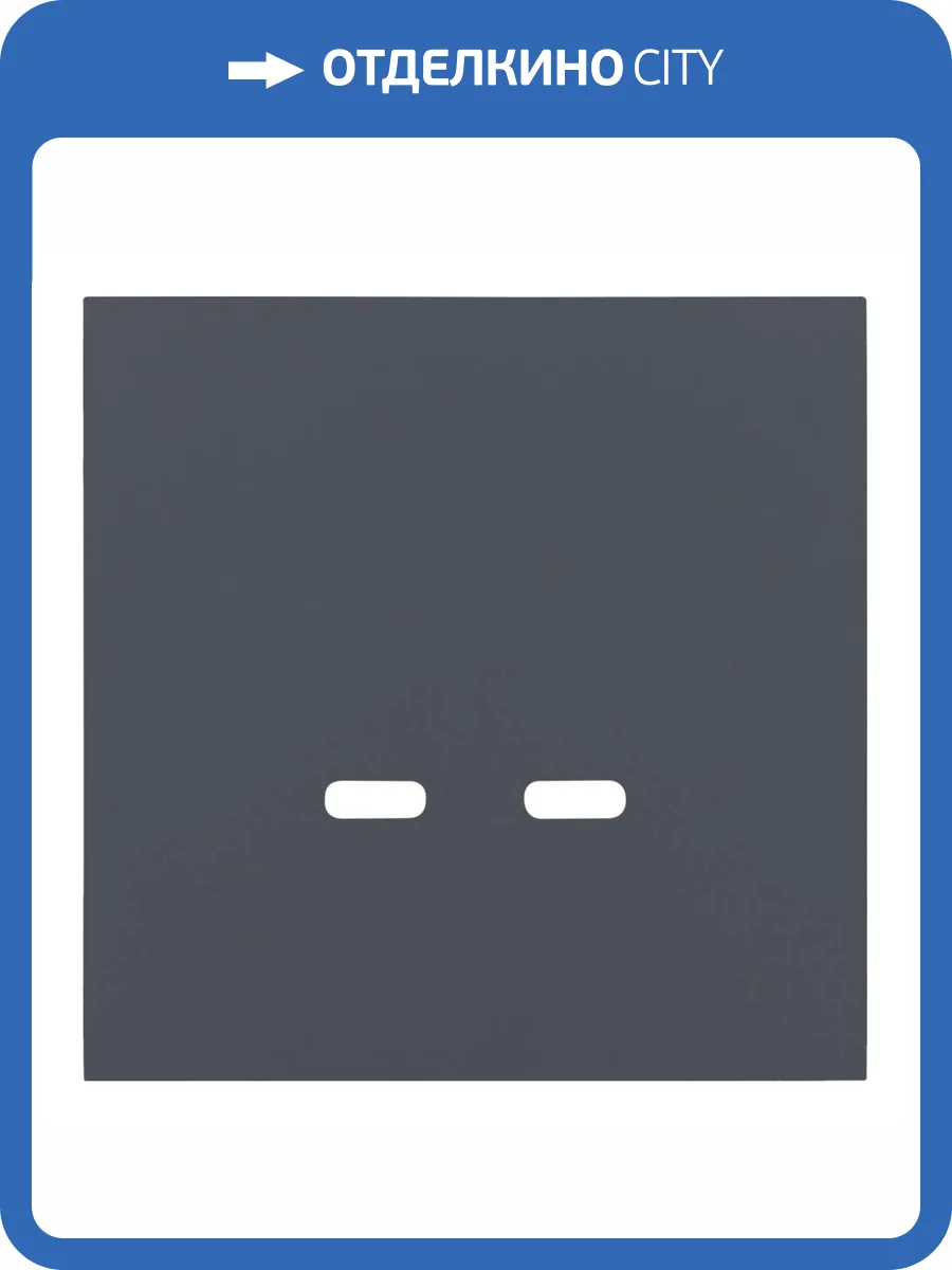 Лицевая панель для розетки USB C/C Rikett 35675 BT базальт фото 2