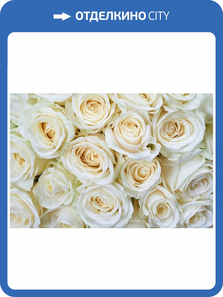 3D Фотообои Artegrafico «Нежные кремовые розы» N017-1 канвас фото 2