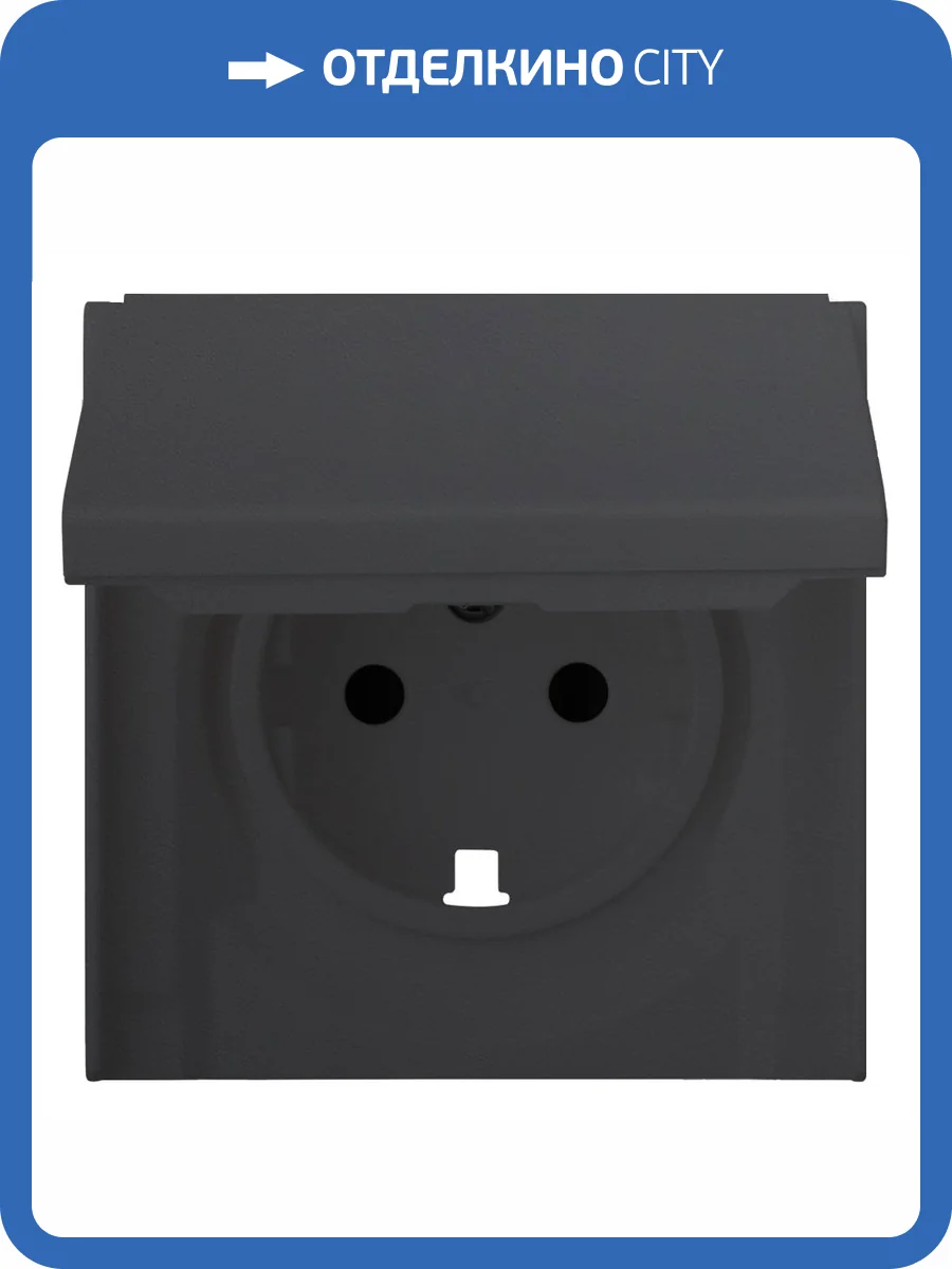 Лицевая панель для розетки 2к+з с крышкой Rikett 35634 MB черный сатин фото 2