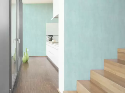 A.S. Creation Revival