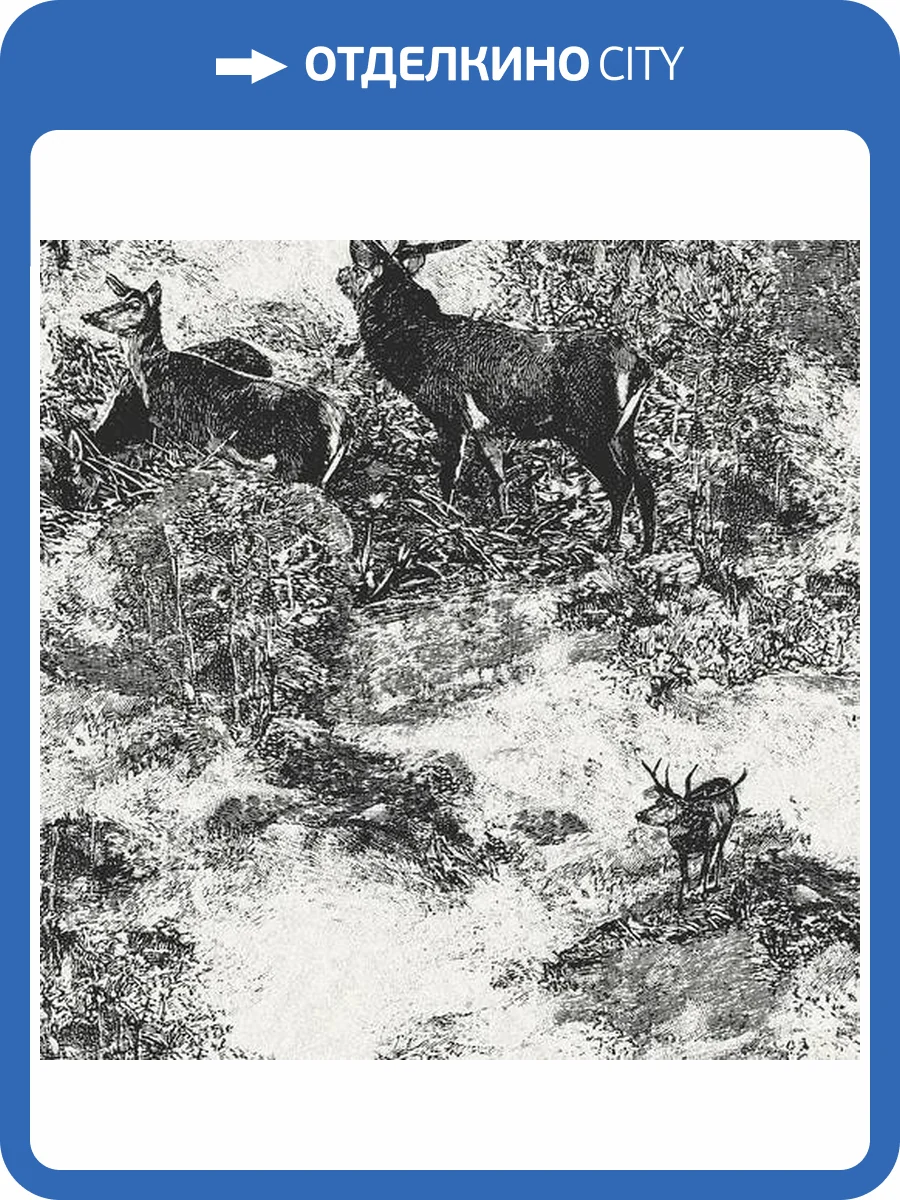 Обои Architector Sauvage II KT40600 фото 2