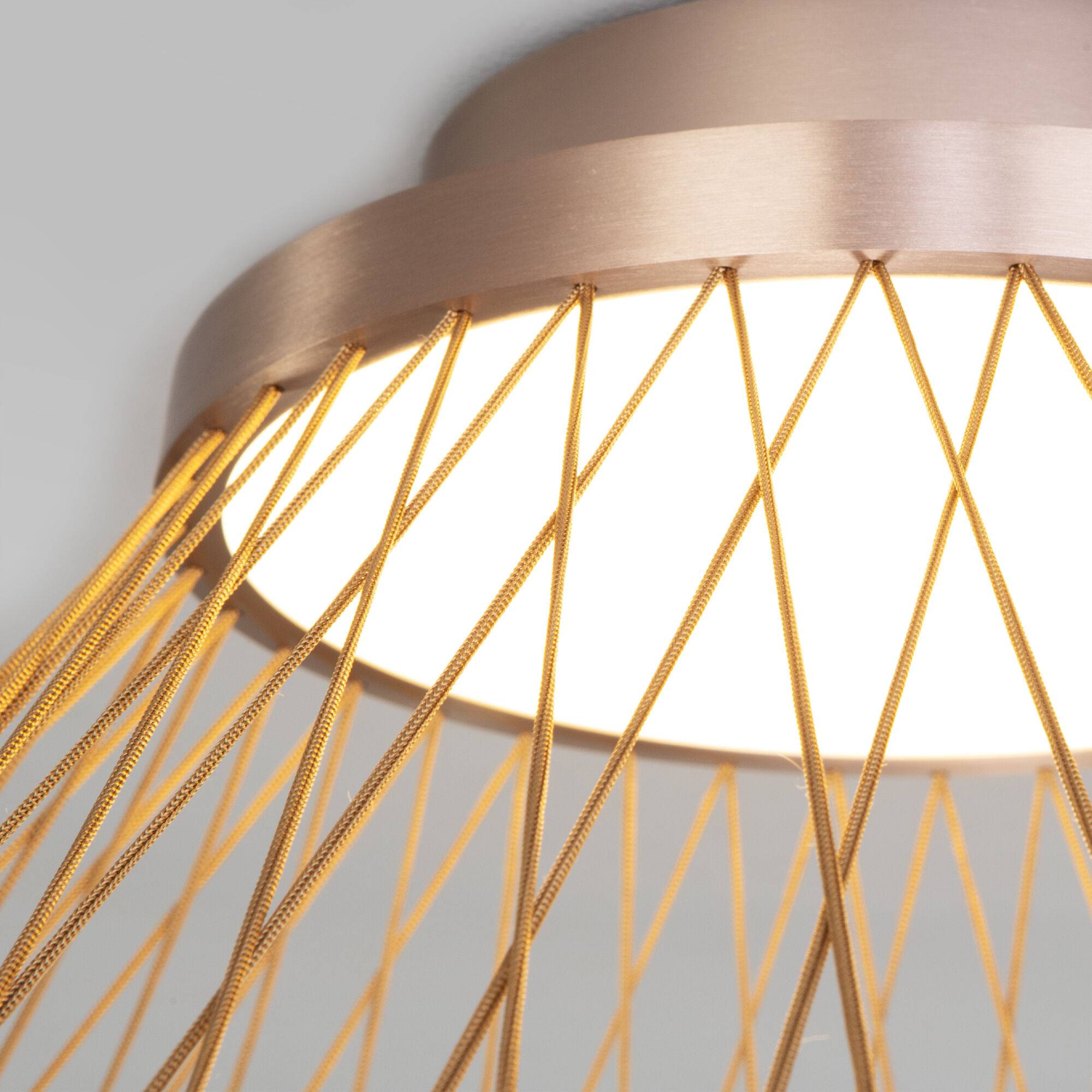 Потолочный светодиодный светильник Eurosvet Cesta 40019/1 LED коричневый фото 3