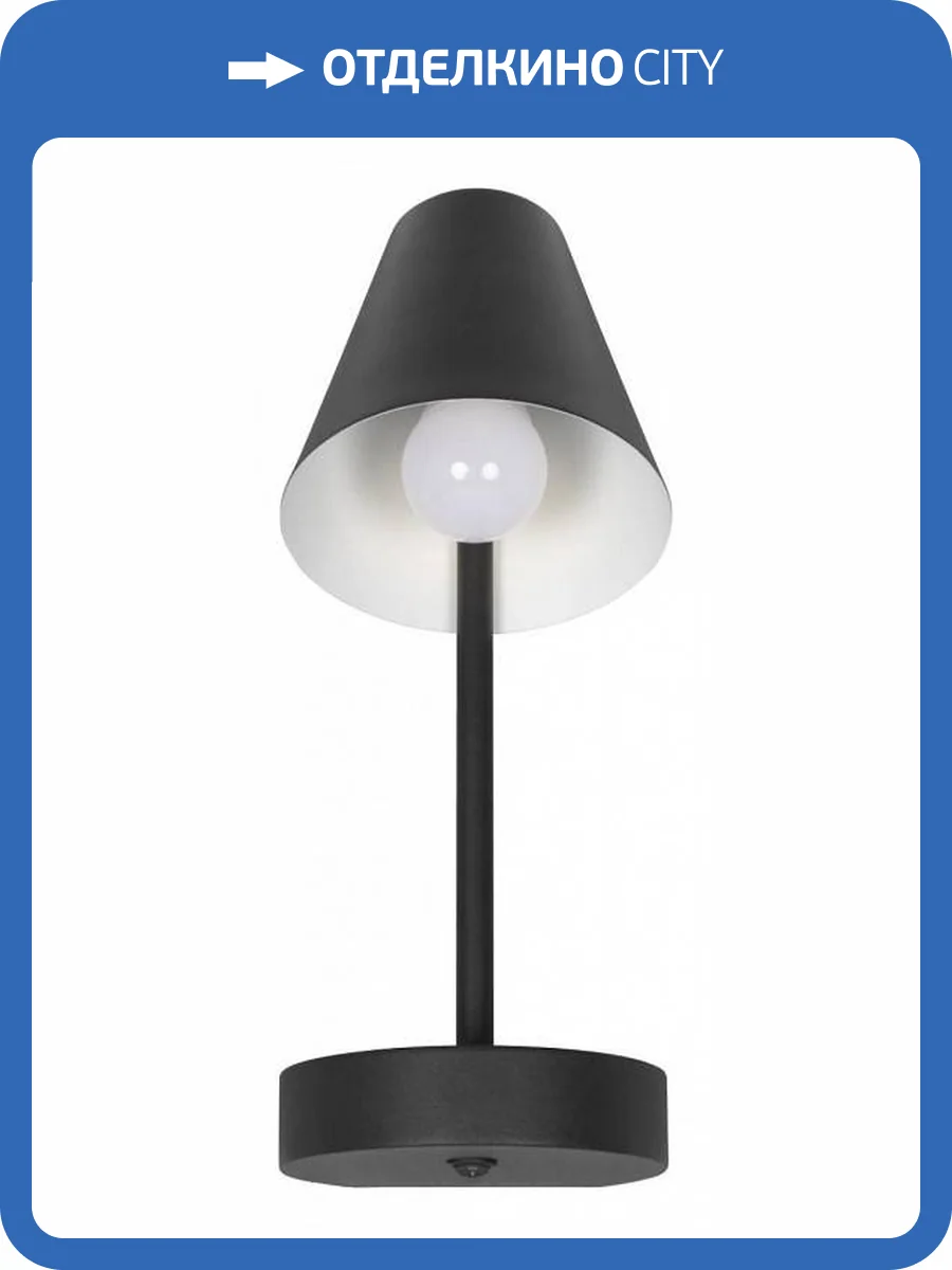 Настенный светильник Loft IT Shelf 10216/1W Black фото 7