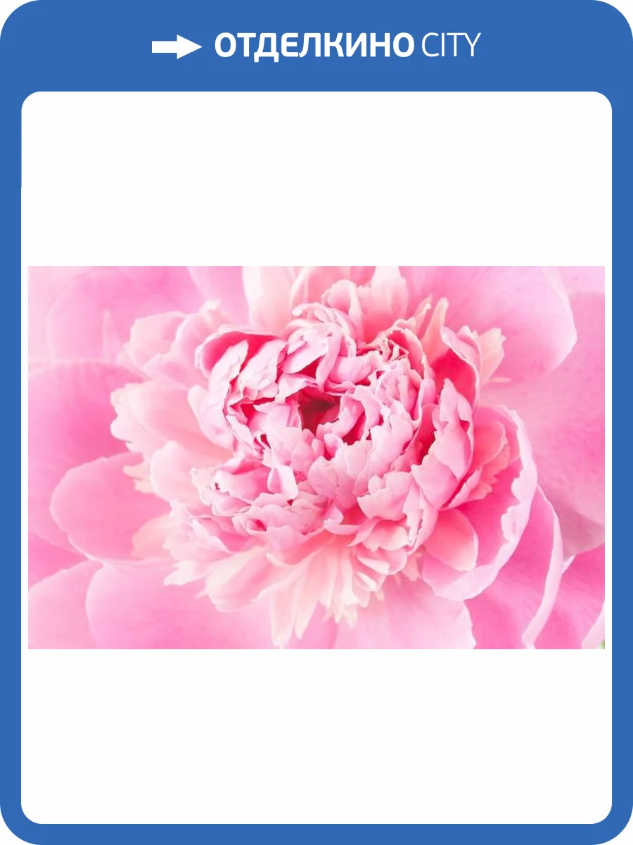 3D Фотообои Artegrafico «Пионовый фон» PN015 песок фото 2