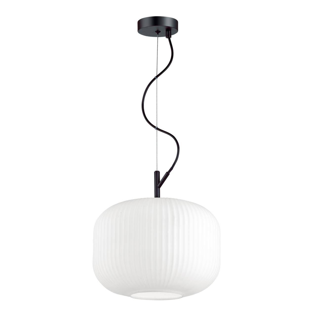 Подвесной светильник Odeon Light Pendant Roofi 4754/1