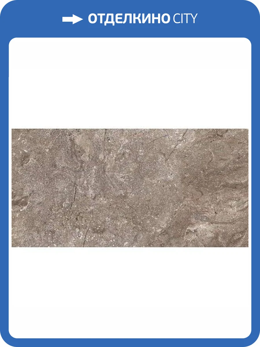 Керамогранит Leopard 6405 Stone Grey Polished 60x120 фото 2