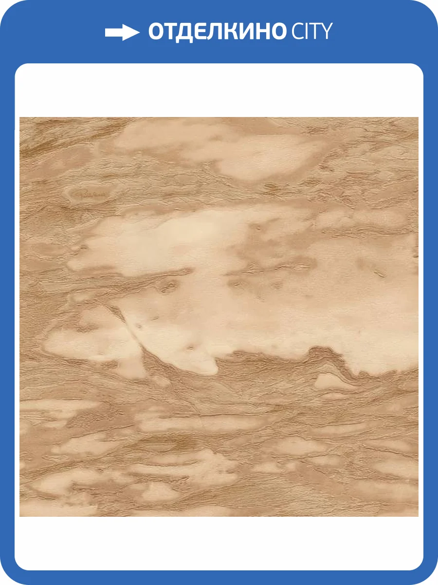 Обои Roberto Cavalli №9 21029 фото 2