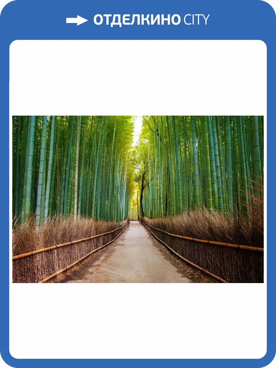 3D Фотообои Artegrafico «Бамбуковый лес» PR001 акварель фото 2