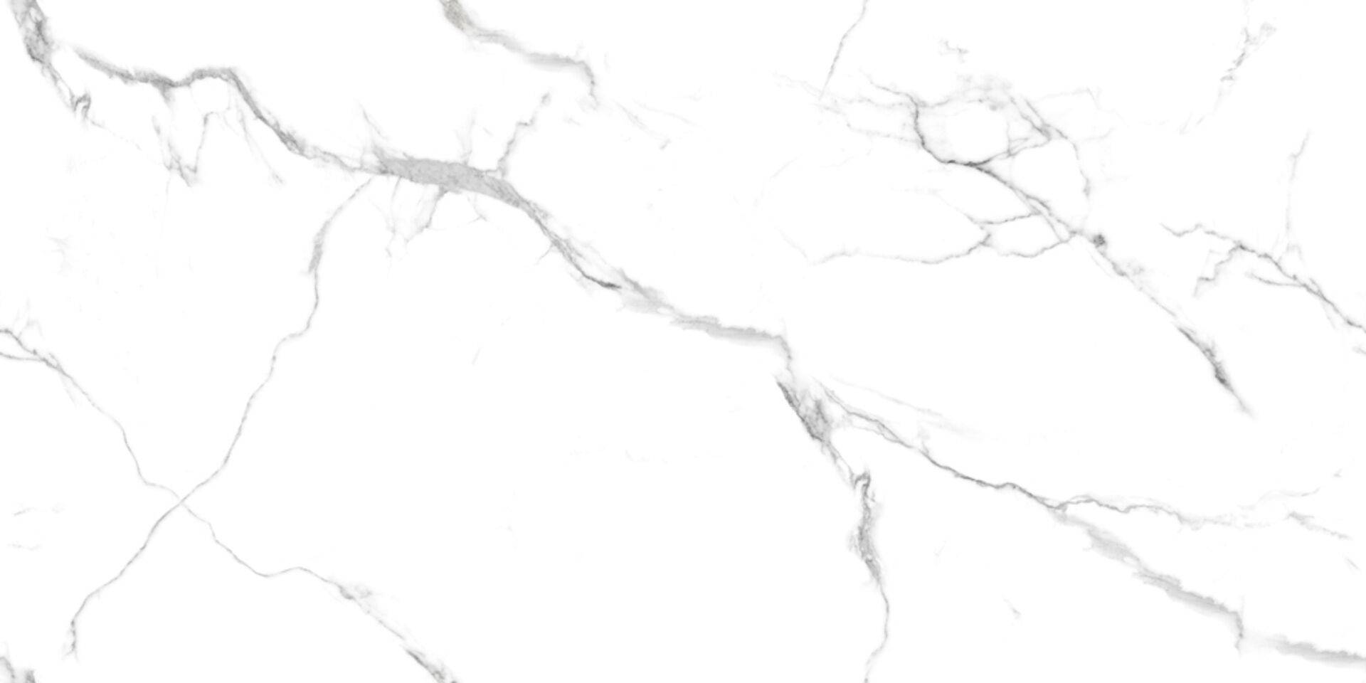Керамогранит Gravita Urban Marble Белый Glossy 60x120 фото 3
