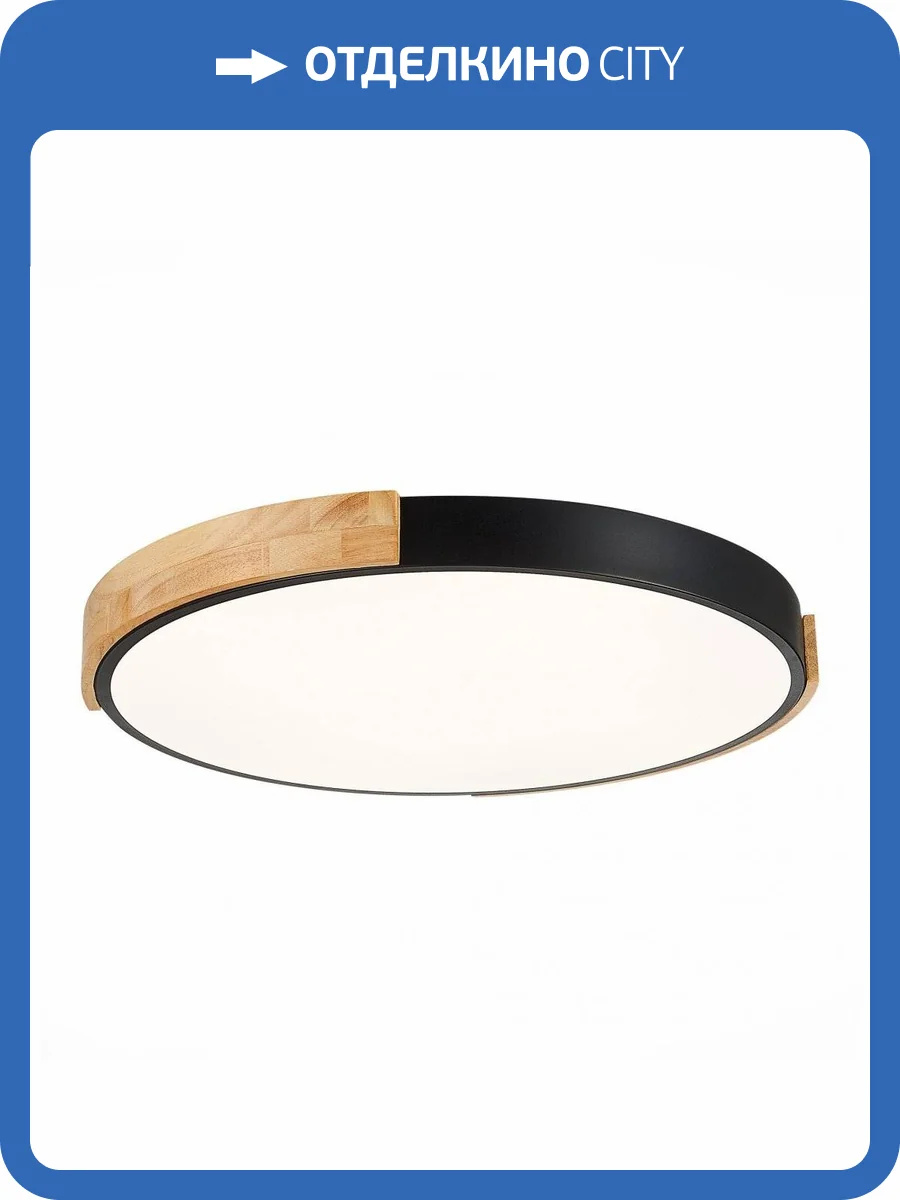 Накладной светодиодный светильник Evoluce Delia SLE201342-01 фото 4