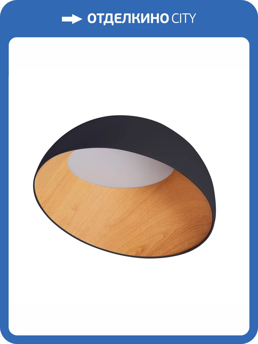 Потолочный светильник Zortes Baum ZRS.01243.05 фото 4