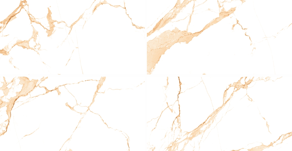 Bluezone Opus фото 3