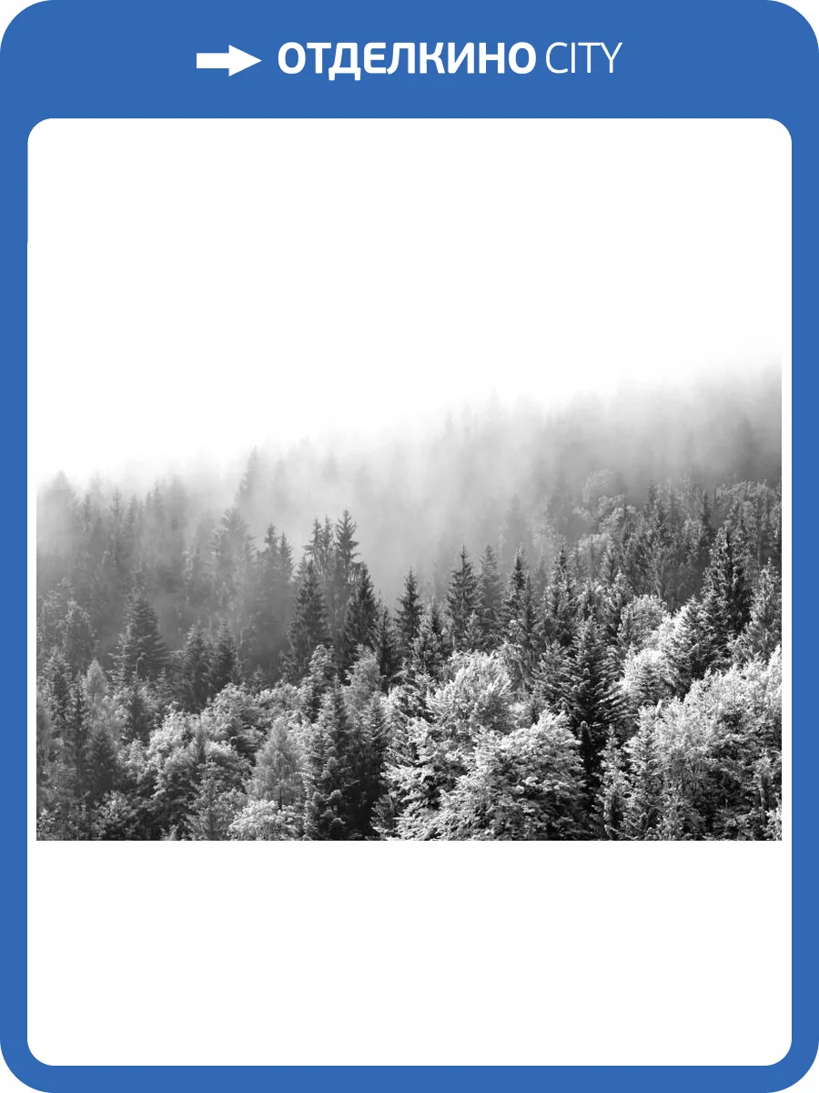 3D Фотообои Artegrafico «Заснеженный туманный лес» TM-005 канвас фото 2