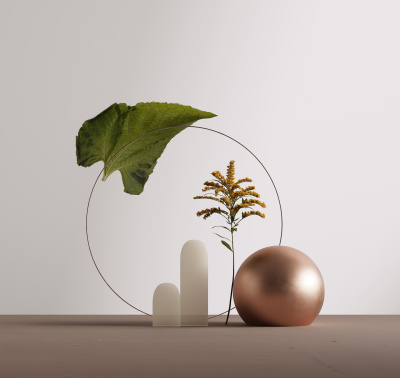 Loymina Lotus Universe