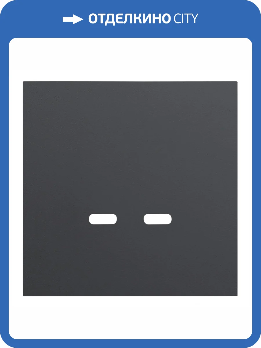 Лицевая панель для розетки USB C/C Rikett 35675 MB черный сатин фото 2