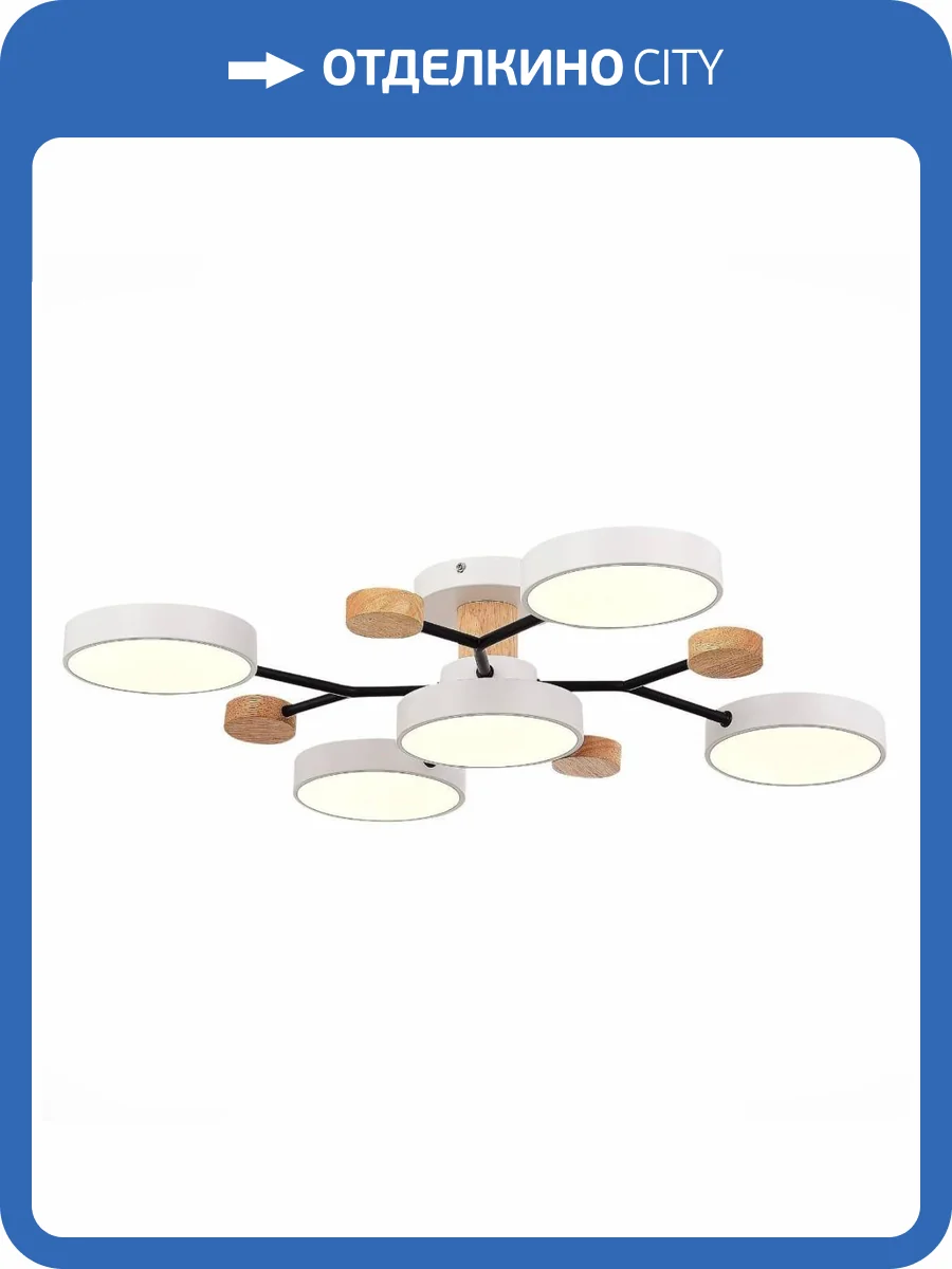 Потолочная люстра Evoluce Faema SLE6006-502-05 фото 2