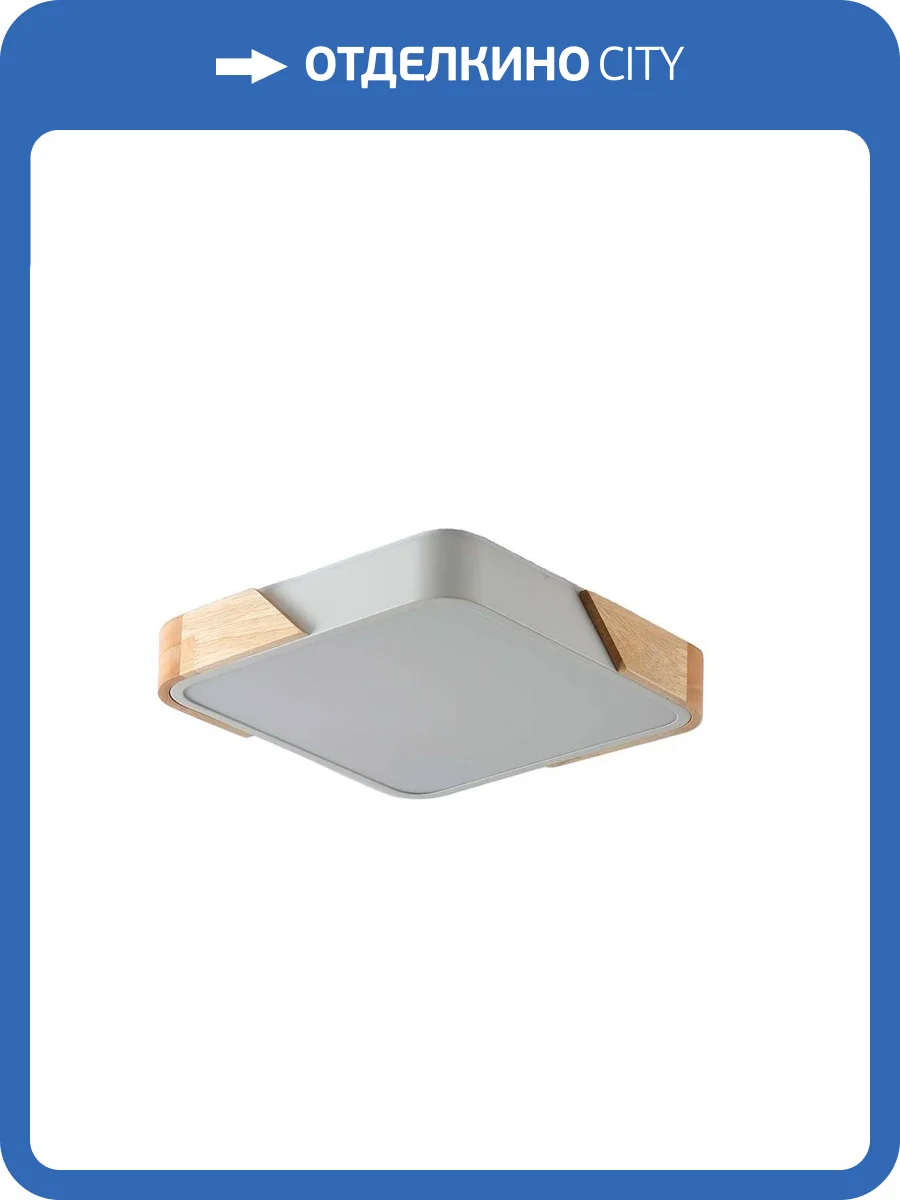 Потолочный светильник Zortes ALBERRO ZRS.01285.48 фото 6