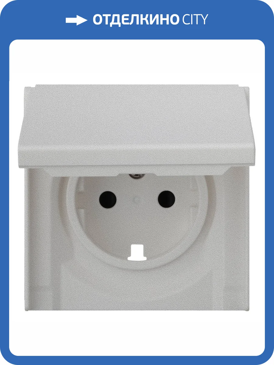 Лицевая панель для розетки 2к+з с крышкой Rikett 35634 SV серебро фото 2
