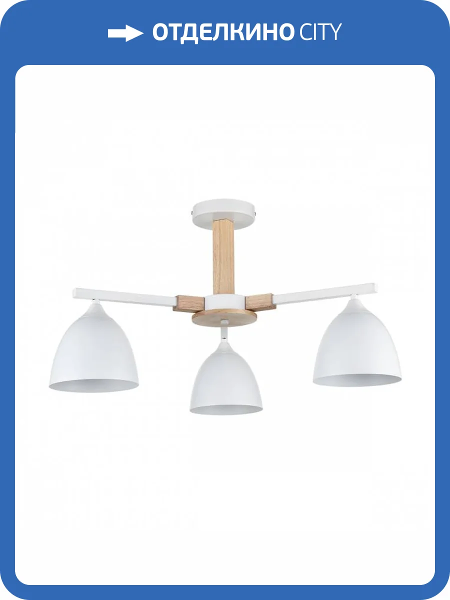 Люстра потолочная Lumion Moderni 8095/3C фото 2