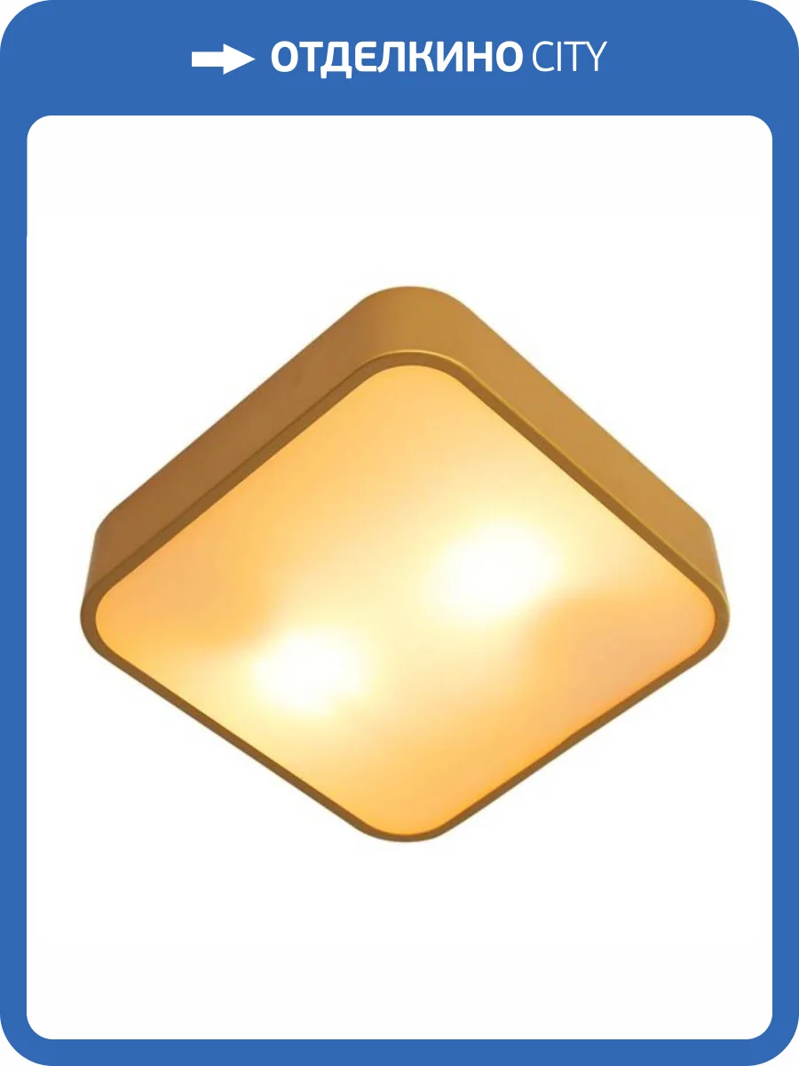 Потолочный светильник Arte Lamp Cosmopolitan A7210PL-2GO фото 2