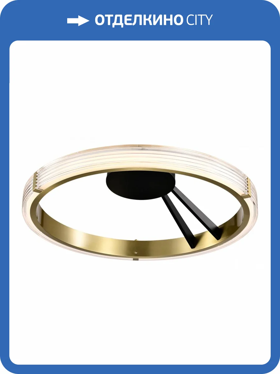 Потолочный светильник Lightstar Rotonda 736041 фото 2