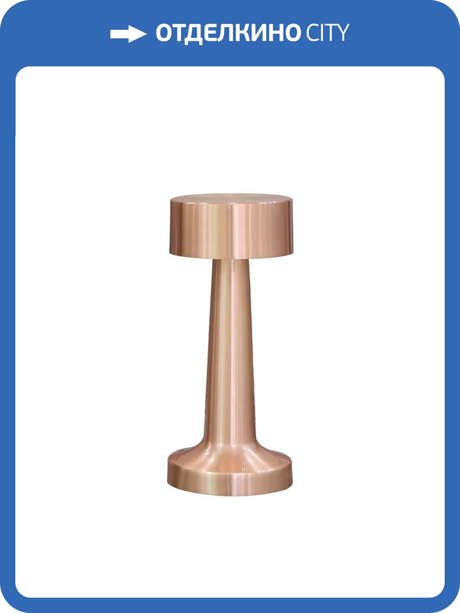 Настольная лампа Aployt Perrayn APL.671.04.01 фото 2