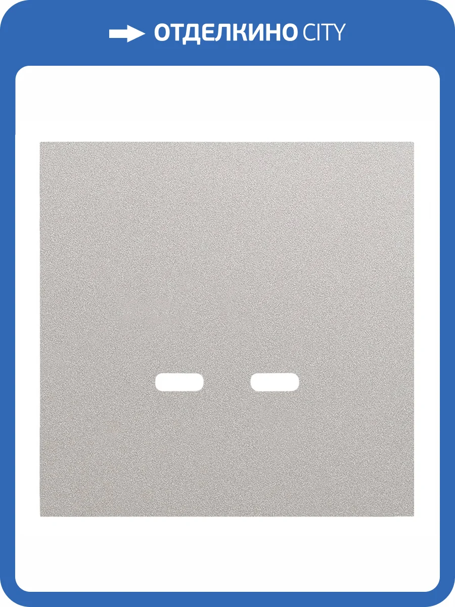 Лицевая панель для розетки USB C/C Rikett 35675 PL платина фото 2