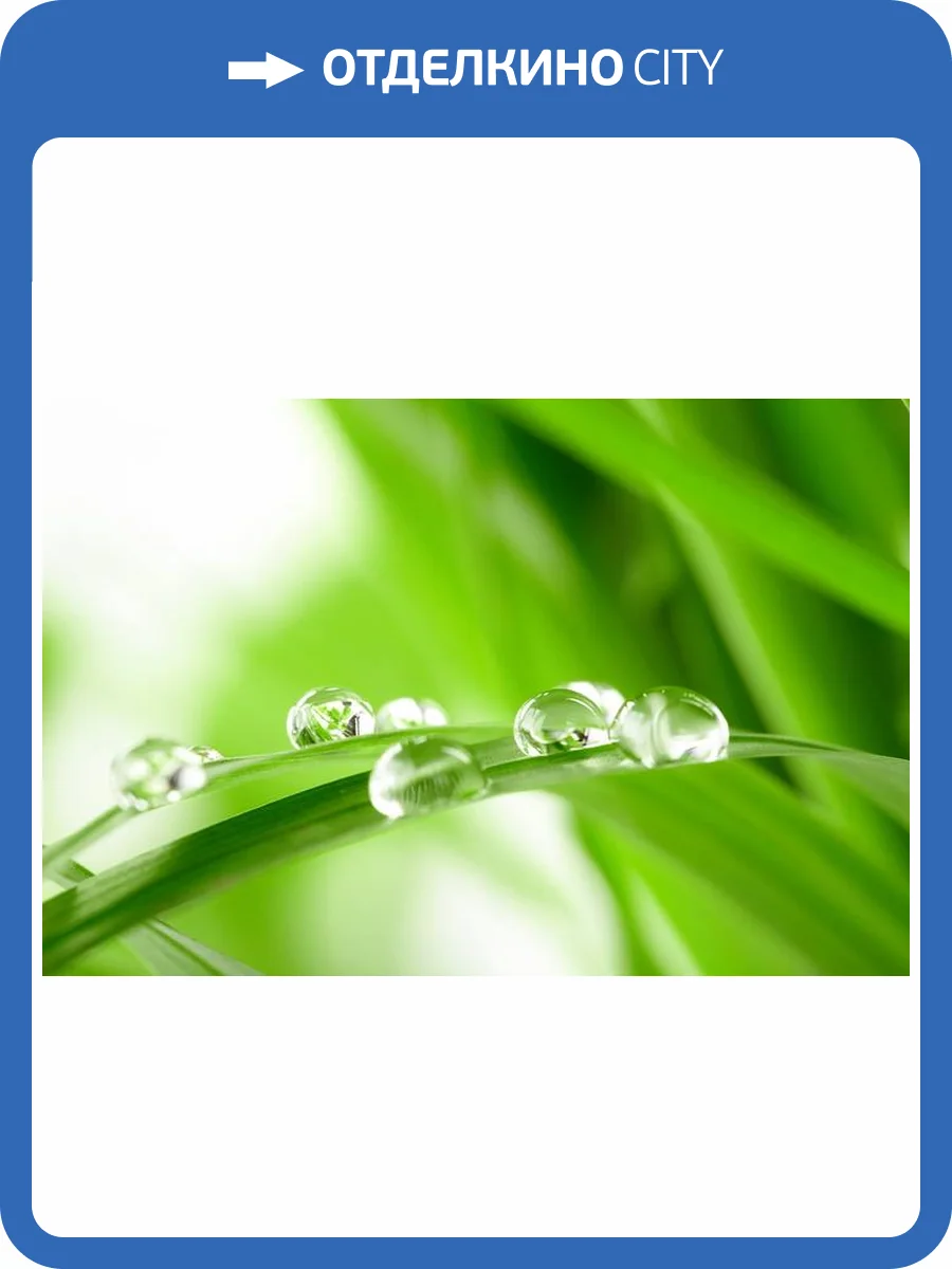 3D Фотообои Artegrafico «Трава с росой» CV007 акварель фото 2