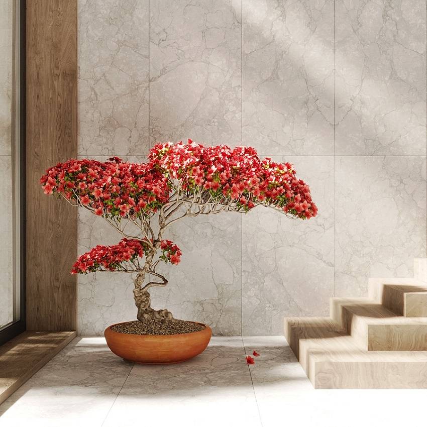 Керамогранит Pieza Ceramica Kea KE006012N White 60x120 фото 2