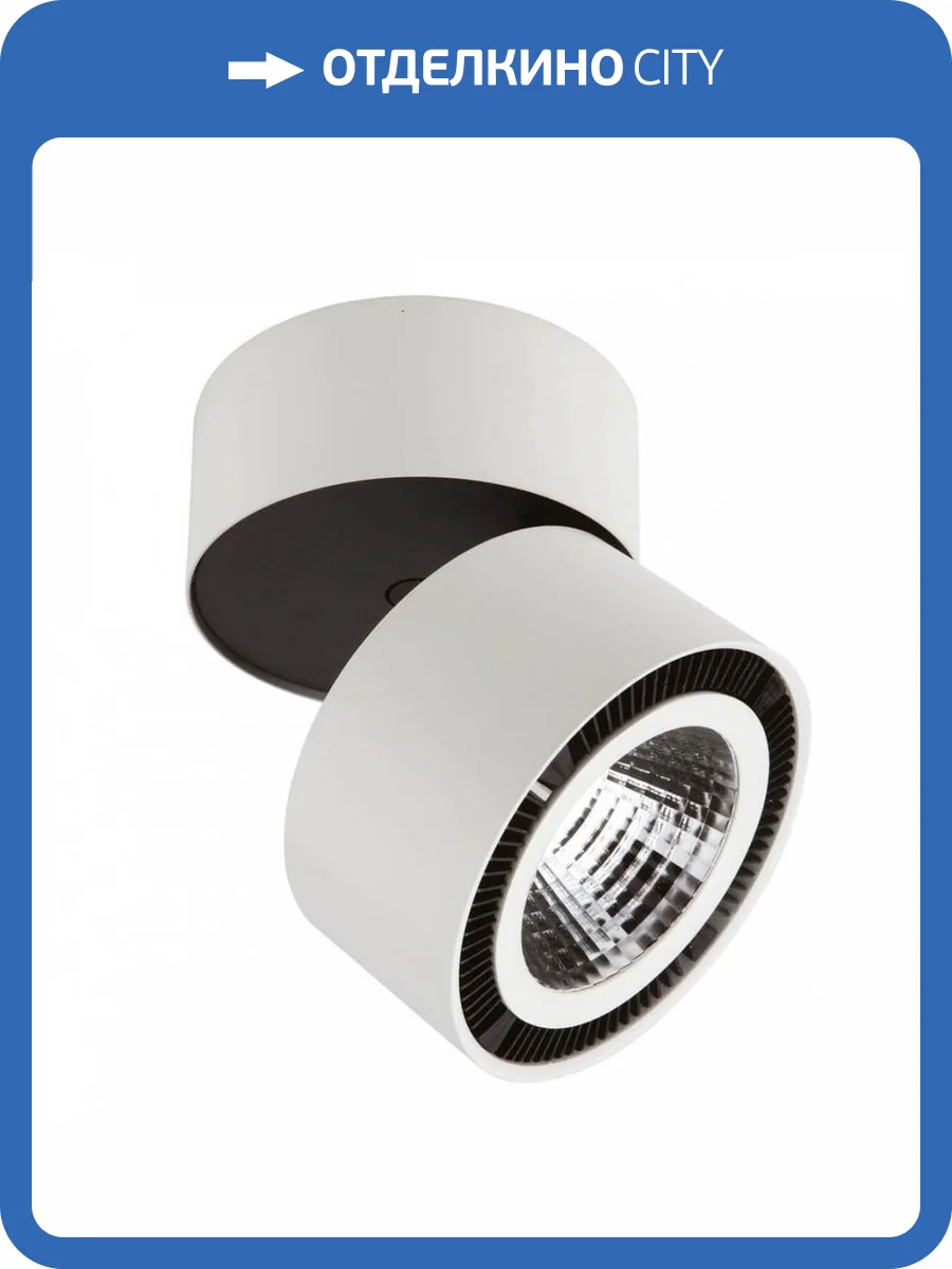 Потолочный светодиодный светильник Lightstar Forte Muro 214830 фото 3