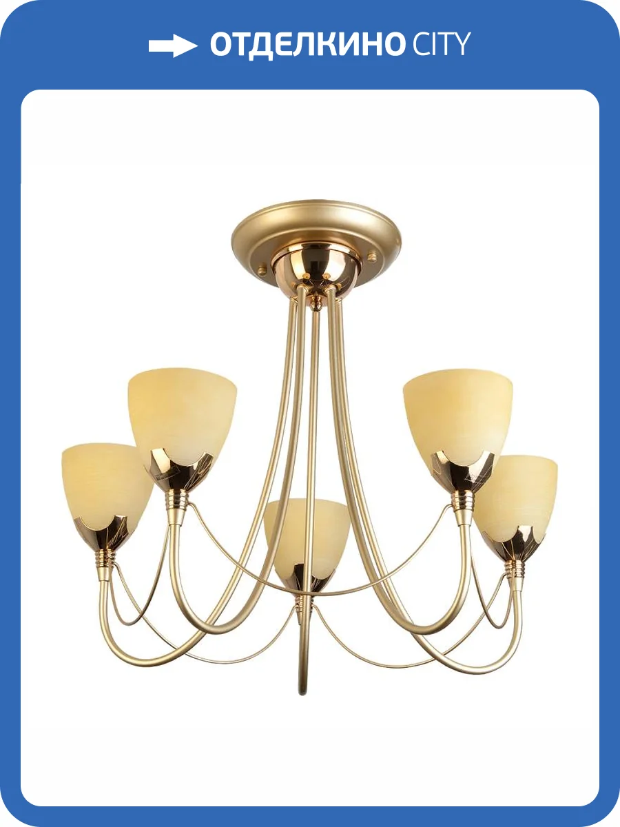 Потолочная люстра Toplight Lucia TL3630X-05MG фото 2