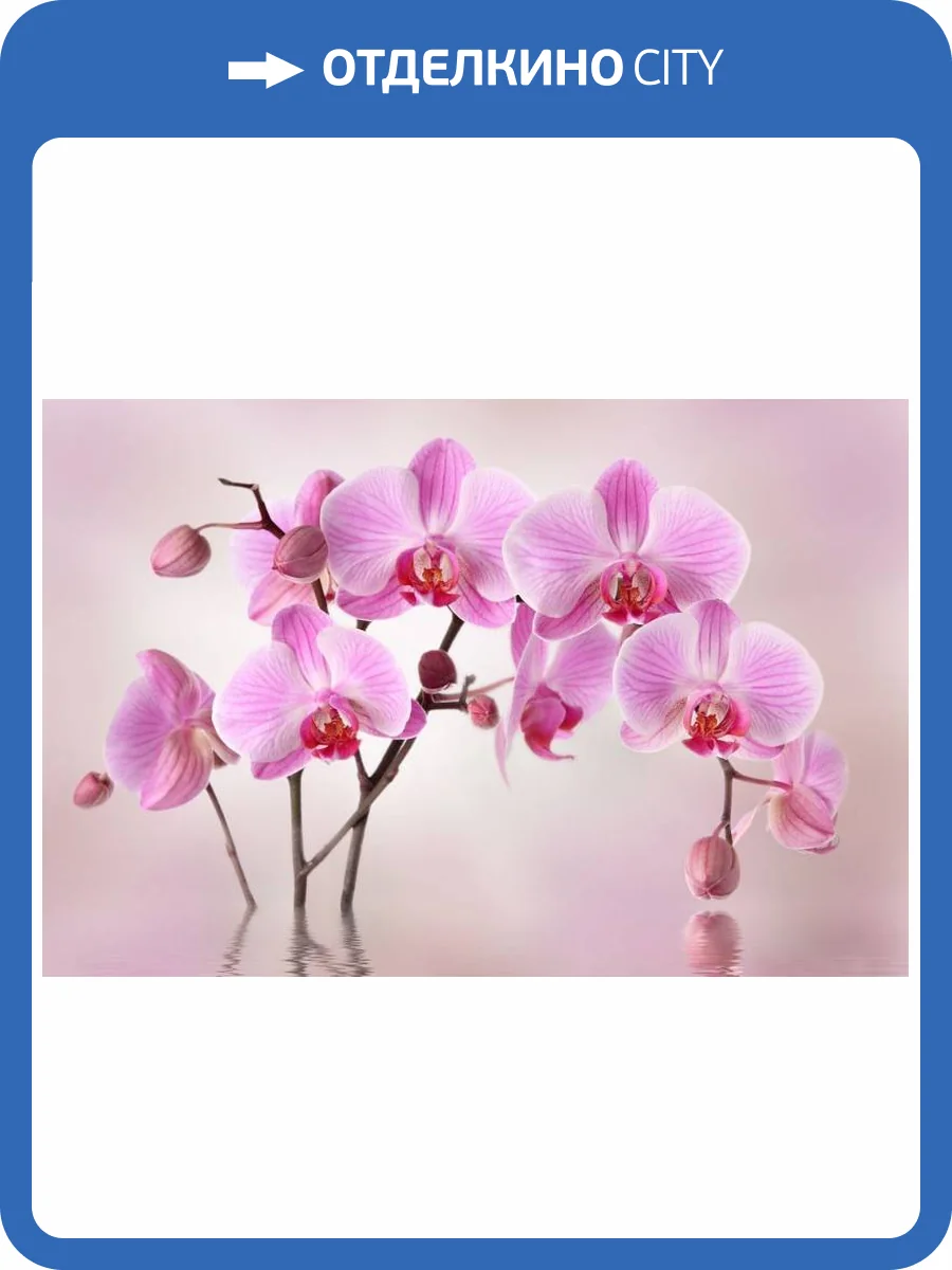 3D Фотообои Artegrafico «Розовая орхидея над водой» ORH-036 песок фото 2