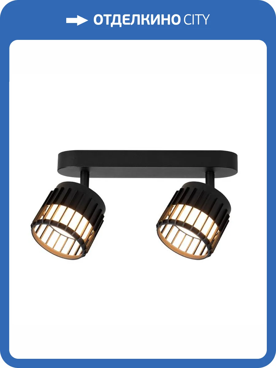 Светильник потолочный Arte Lamp Atria A8031PL-2BK фото 2