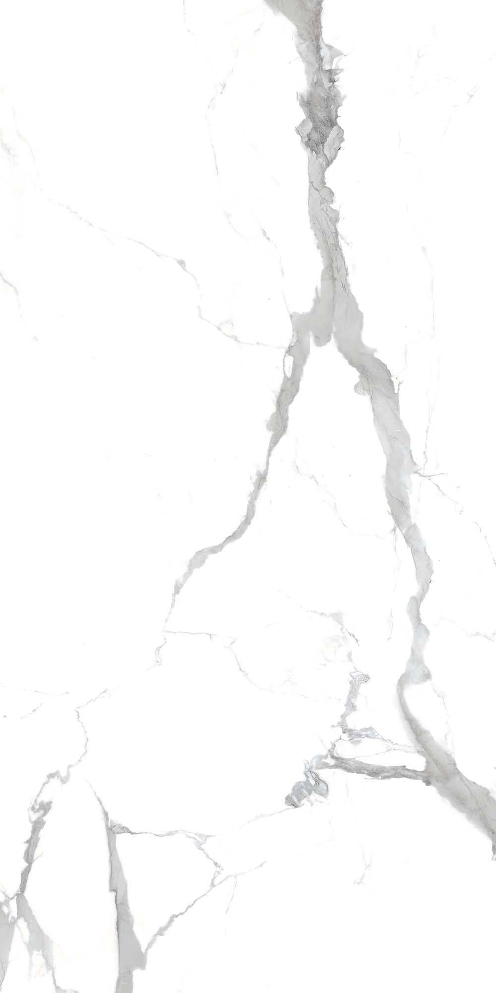 Керамогранит Pieza Ceramica Calacatta CA016012N Grey 60x120 фото 2