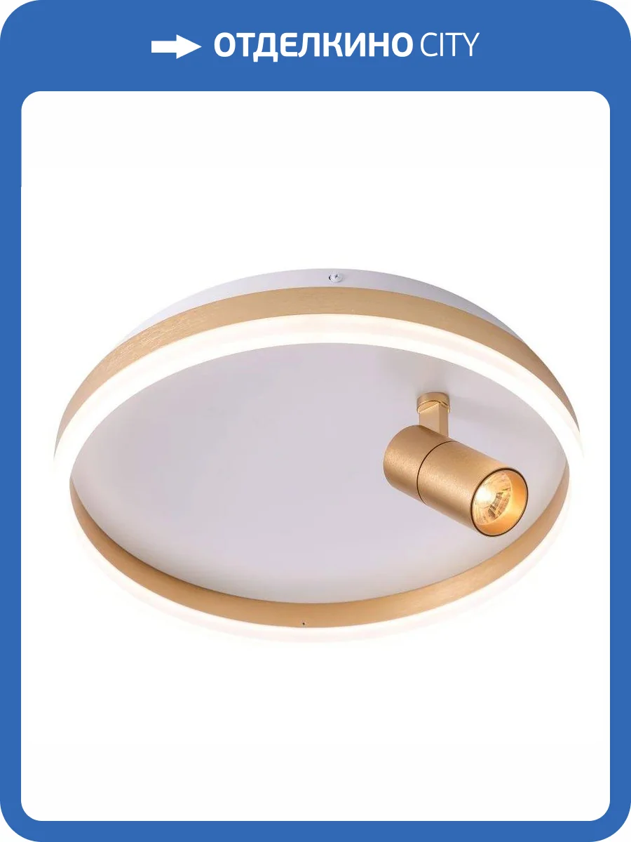 Потолочный светодиодный светильник Zortes Raizy ZRS.1888.04 фото 8