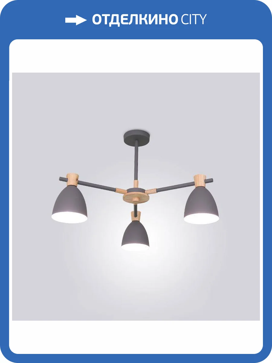 Потолочная люстра Imperium Loft Folke 101598-26 фото 2