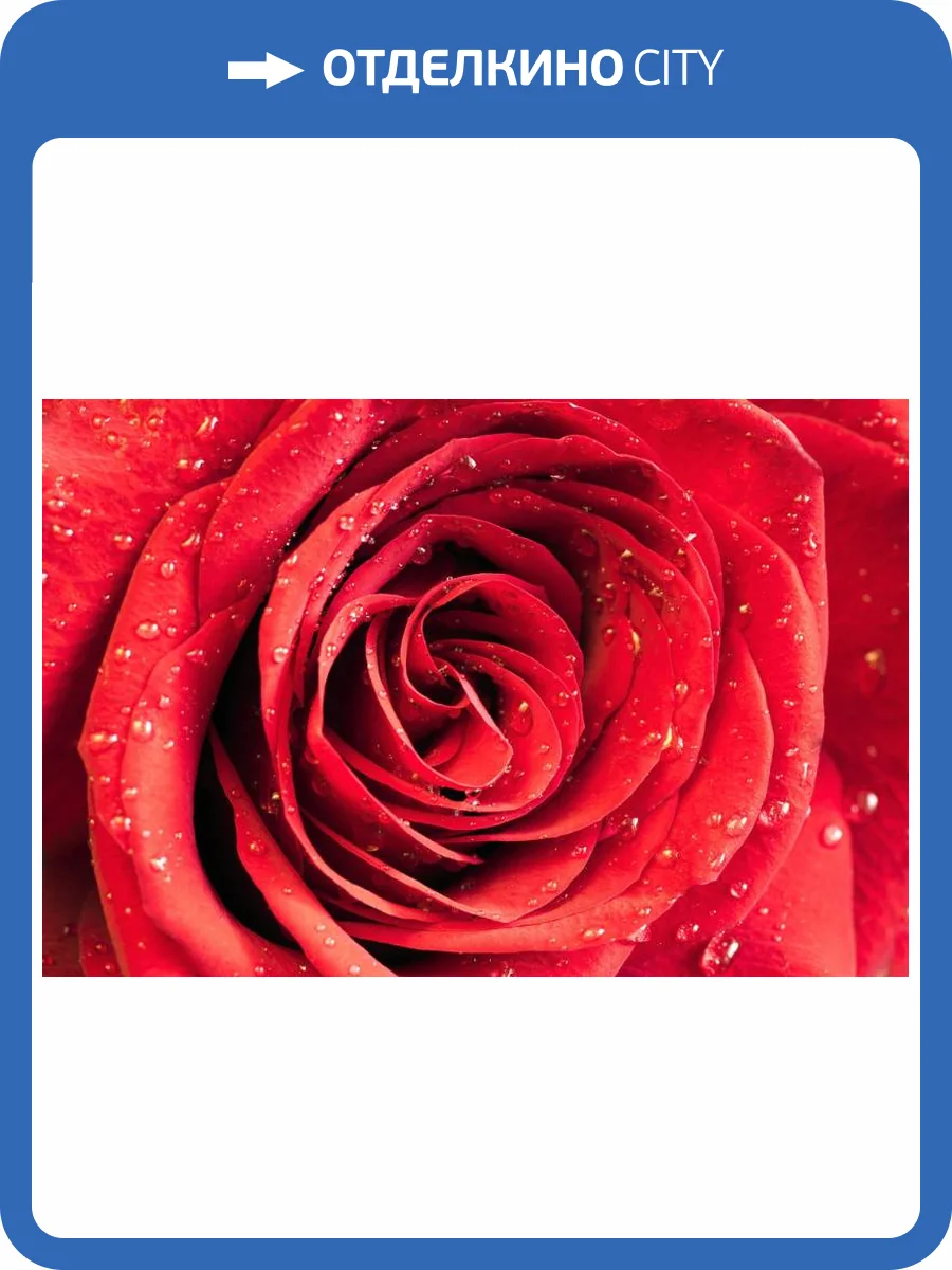 3D Фотообои Artegrafico «Красная роза» R841-3 песок фото 2