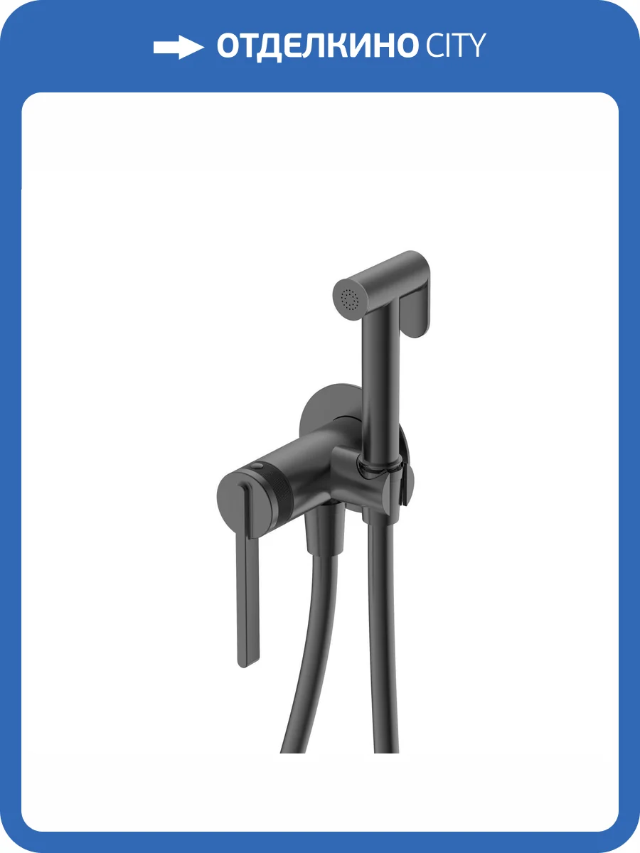 Гигиенический душ DQ Bonn DA1704506 графит фото 8