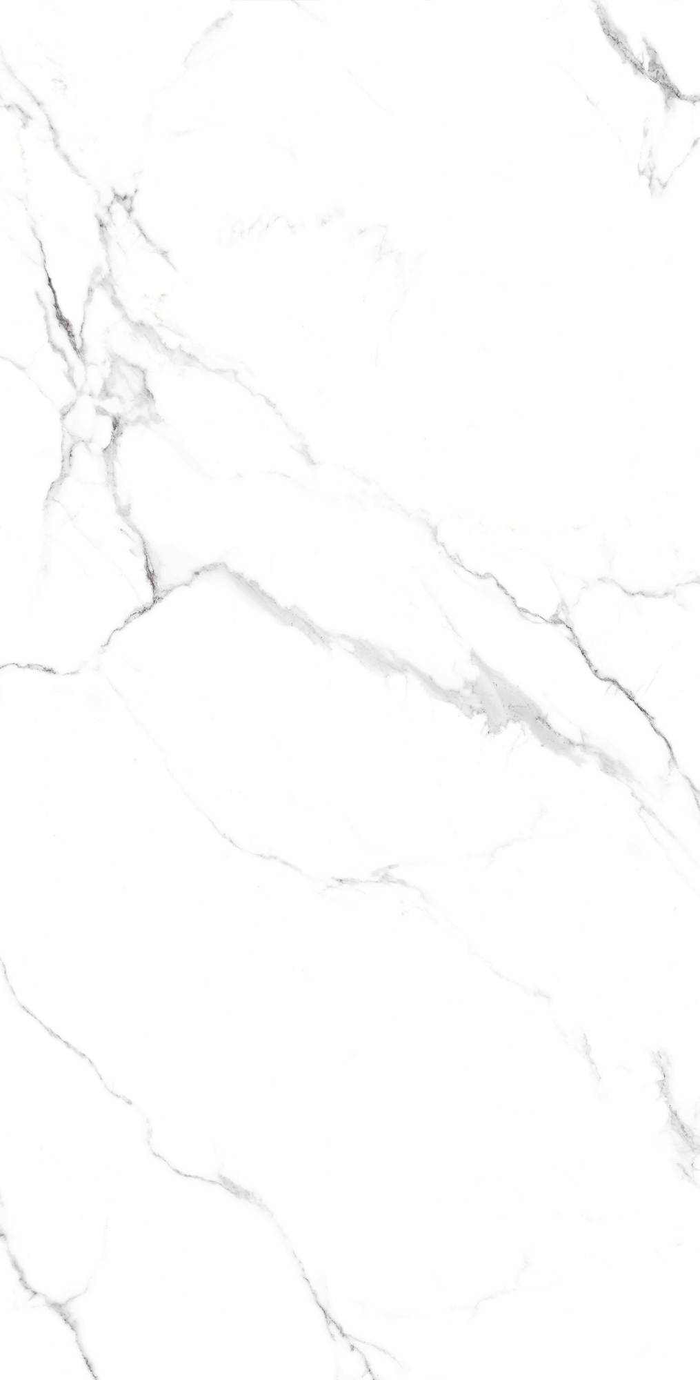 Керамогранит Creanza Statuario Fine CP4005-A Carving Pro 60x120 фото 4