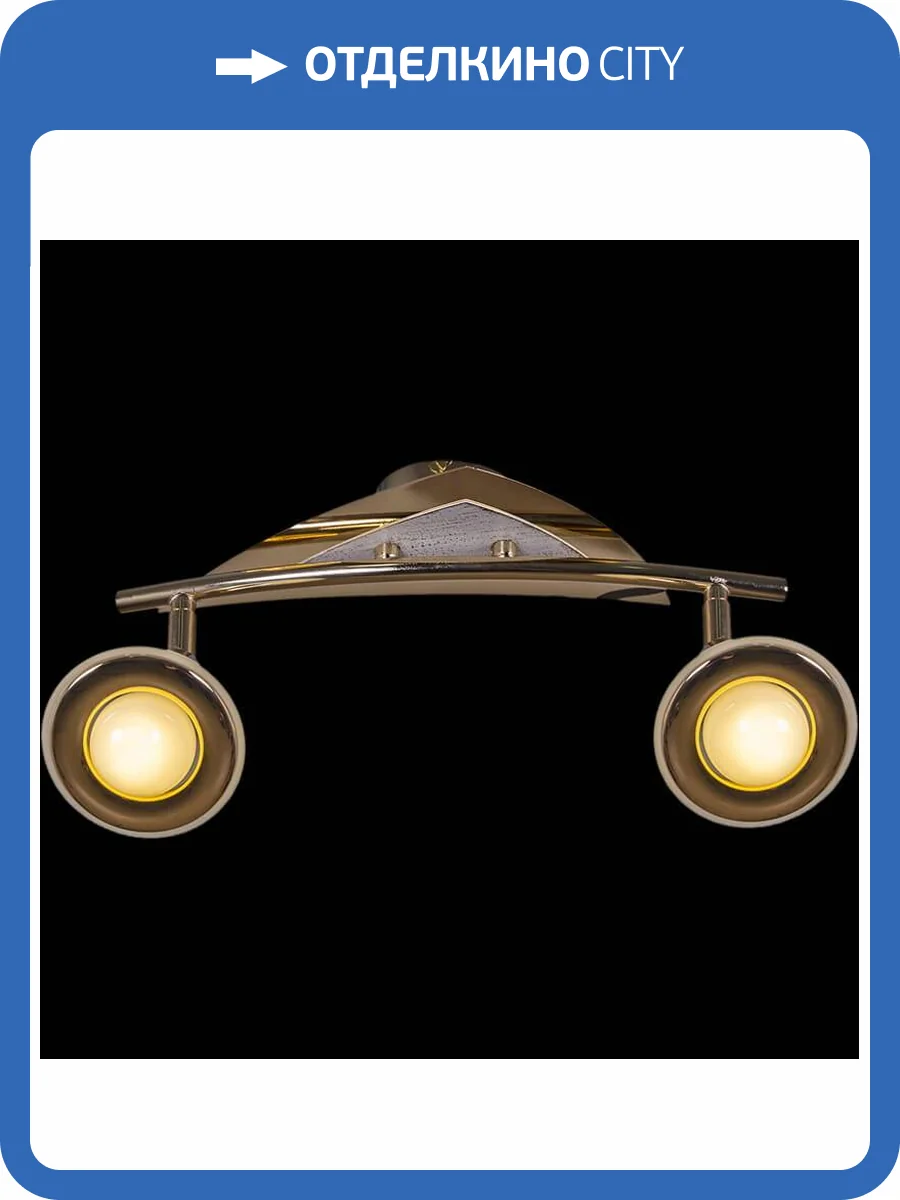 Спот Reluce 00640-0.3-02DA SWT+FGD фото 2