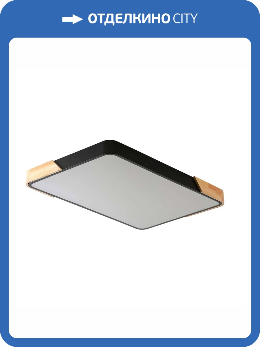 Потолочный светильник Zortes ALBERRO ZRS.01244.60 фото 6